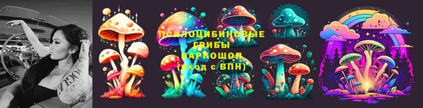 PSILOCYBIN Алексин