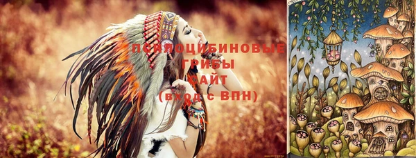 PSILOCYBIN Алексин