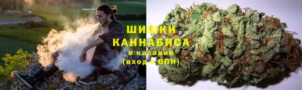 PSILOCYBIN Алексин
