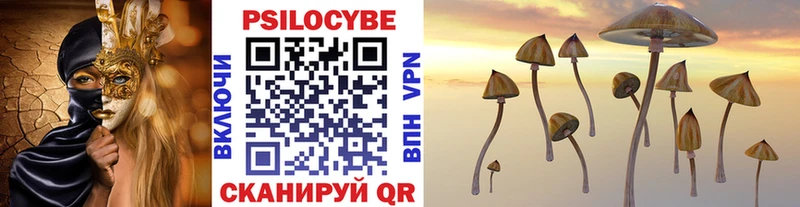 купить наркоту  Бикин  Галлюциногенные грибы Psilocybe 