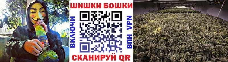 Каннабис White Widow  Бикин 
